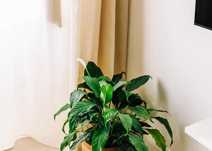 Apartamento Ductus 11